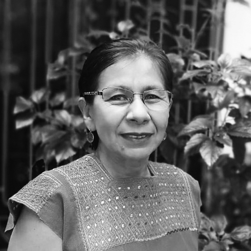 Vera Flores ORGA